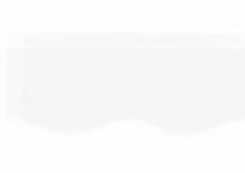 Marchiză Valance pentru Cadru de 5 m Alb 4.8 x 0.2 m - 5/5