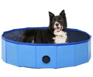 vidaXL Piscină pentru câini pliabilă, albastru, 80 x 20 cm, PVC