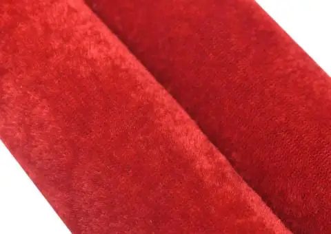 Cordon de delimitare pentru stâlpi, roșu și argintiu, catifea - 5/5