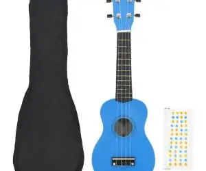 vidaXL Set ukulele Soprano pentru copii, cu husă, bleu, 21"
