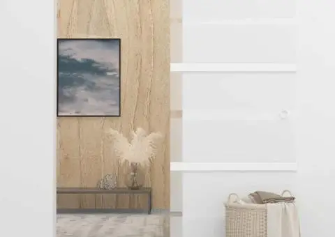 Ușă glisantă, argintiu, 90 x 205 cm, sticlă ESG și aluminiu - 3/5