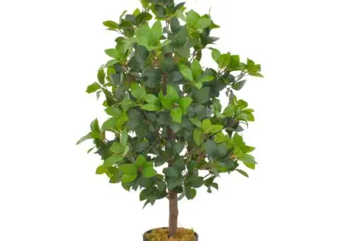 Plantă artificială dafin cu ghiveci, verde, 90 cm