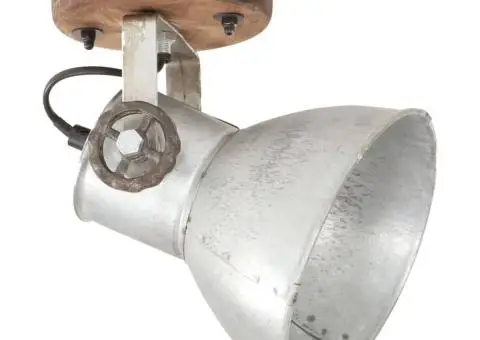 Lămpi de perete/tavan industriale argintiu 2 buc 20x25 cm E27 - 3/5