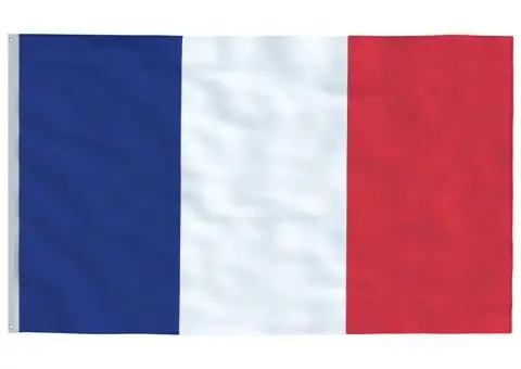 Steag Franța, 90 x 150 cm - 2/5