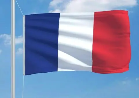 Steag Franța, 90 x 150 cm - 3/5