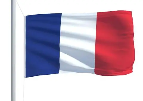 Steag Franța, 90 x 150 cm - 4/5