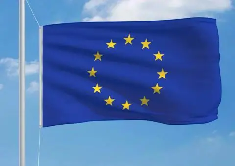 Steag Europa, 90 x 150 cm - 3/5