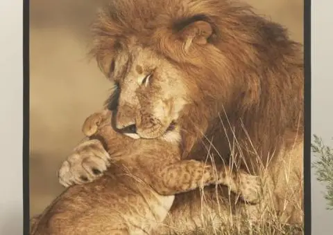 Ecran de proiecție 67" 1: 1 - 1/5