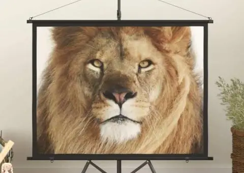 Ecran de proiecție cu trepied 60" 4:3 - 1/5