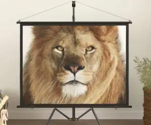 vidaXL Ecran de proiecție cu trepied 60" 4:3