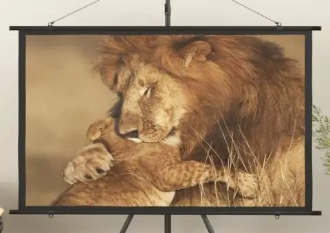 Ecran de proiecție 60" 16:9 - 1/5