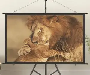 vidaXL Ecran de proiecție 60" 16:9