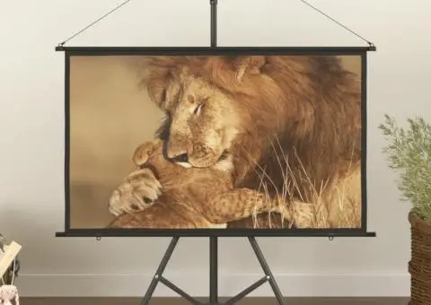 Ecran de proiecție cu trepied 50" 16:9 - 1/5