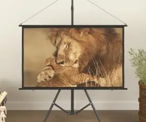 vidaXL Ecran de proiecție cu trepied 50" 16:9