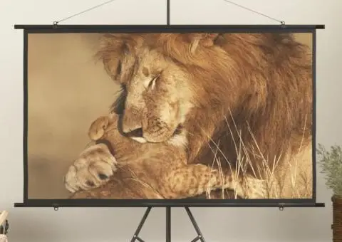 Ecran de proiecție 84" 16:9 - 1/5