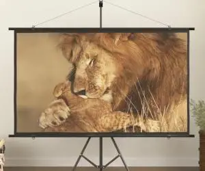 vidaXL Ecran de proiecție 84" 16:9