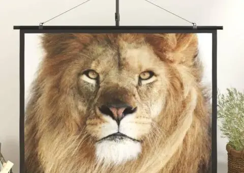 Ecran de proiecție 60" 4:3 - 1/5