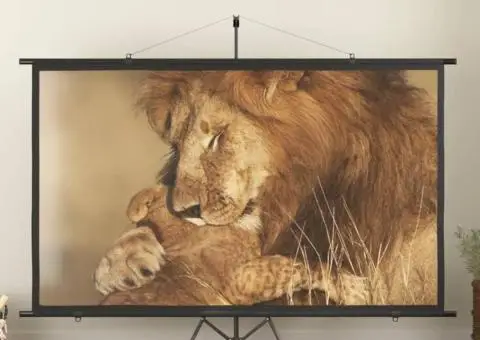 Ecran de proiecție cu trepied, 120", 16:9 - 1/5