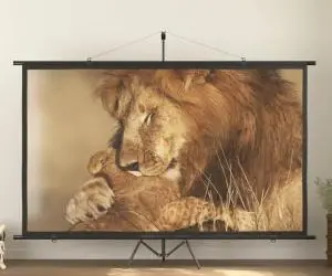 vidaXL Ecran de proiecție cu trepied, 120", 16:9