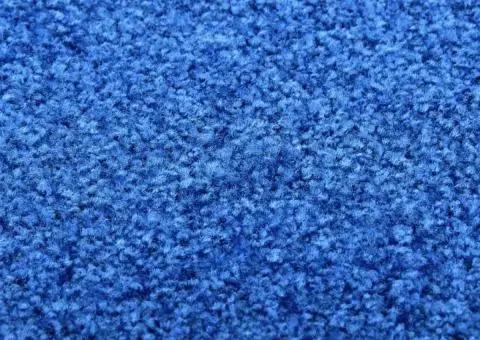 Covoraș de ușă lavabil, albastru, 60 x 90 cm - 4/5