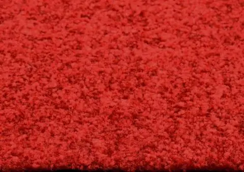 Covoraș de ușă lavabil, roșu, 60 x 180 cm - 4/5