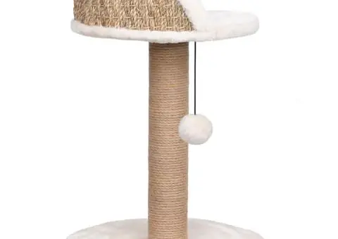 Ansamblu pentru pisici cu stâlp de zgâriat 49 cm iarbă de mare - 4/5