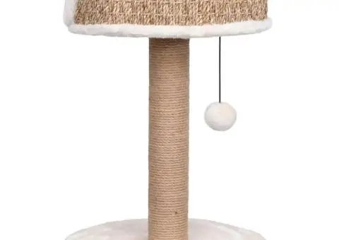 Ansamblu pentru pisici cu stâlp de zgâriat 49 cm iarbă de mare - 5/5