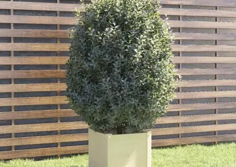 Jardinieră de grădină, alb, 40x40x40 cm, lemn masiv de pin - 1/5