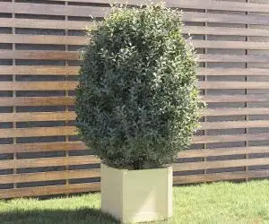 vidaXL Jardinieră de grădină, alb, 40x40x40 cm, lemn masiv de pin