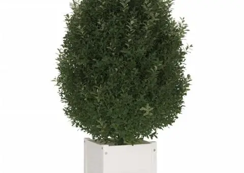 Jardinieră de grădină, alb, 40x40x40 cm, lemn masiv de pin - 3/5