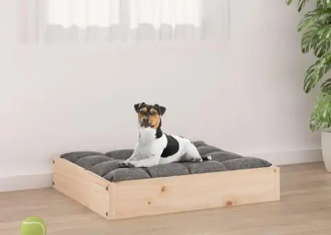 Pat pentru câini, 51,5x44x9 cm, lemn masiv de pin - 1/5