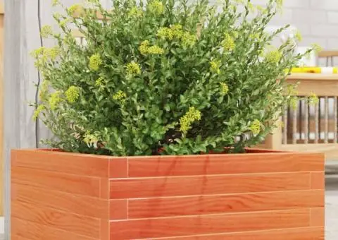 Jardinieră de grădină, maro ceruit, 50x50x23 cm, lemn masiv pin - 1/5