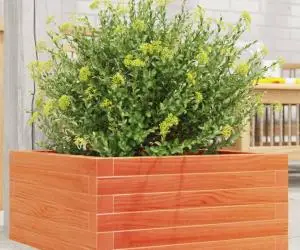 vidaXL Jardinieră de grădină, maro ceruit, 50x50x23 cm, lemn masiv pin