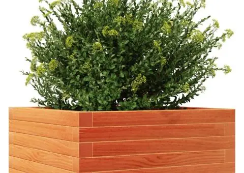 Jardinieră de grădină, maro ceruit, 50x50x23 cm, lemn masiv pin - 4/5