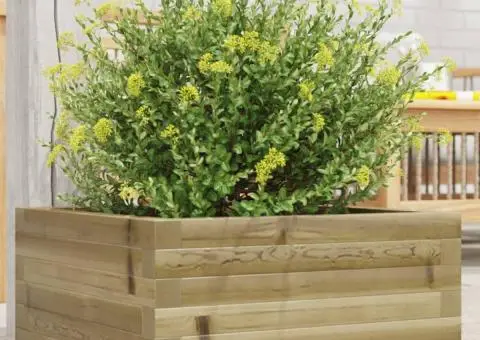 Jardinieră de grădină, 50x50x23 cm, lemn de pin impregnat - 1/5