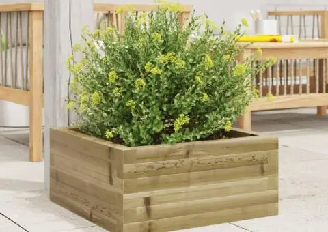 Jardinieră de grădină, 50x50x23 cm, lemn de pin impregnat - 3/5