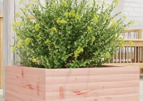 Jardinieră de grădină, 60x60x23 cm, lemn masiv Douglas - 1/5