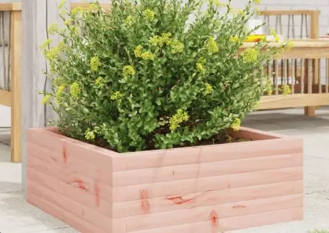 Jardinieră de grădină, 60x60x23 cm, lemn masiv Douglas - 3/5