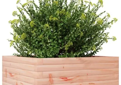 Jardinieră de grădină, 60x60x23 cm, lemn masiv Douglas - 4/5