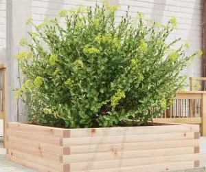 vidaXL Jardinieră de grădină, 80x80x23 cm, lemn masiv de pin