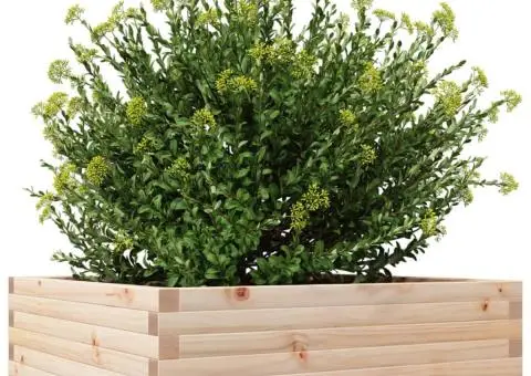 Jardinieră de grădină, 80x80x23 cm, lemn masiv de pin - 4/5