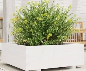 vidaXL Jardinieră de grădină, alb, 70x70x26,5 cm, lemn masiv de pin