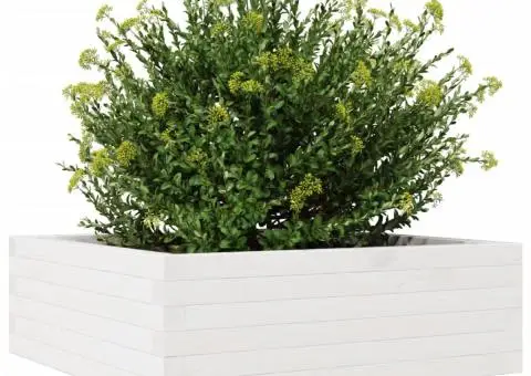 Jardinieră de grădină, alb, 70x70x26,5 cm, lemn masiv de pin - 4/5