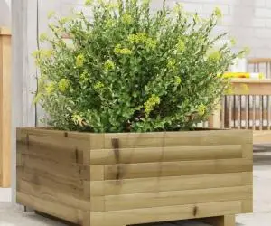 vidaXL Jardinieră de grădină 50x50x26,5 cm lemn de pin impregnat