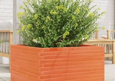 Jardinieră grădină, maro ceruit, 80x80x45,5 cm, lemn masiv pin - 1/5