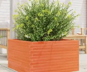 vidaXL Jardinieră grădină, maro ceruit, 80x80x45,5 cm, lemn masiv pin