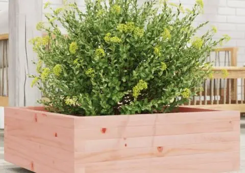 Jardinieră de grădină, 70x70x26,5 cm, lemn masiv Douglas - 1/5