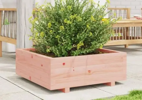 Jardinieră de grădină, 70x70x26,5 cm, lemn masiv Douglas - 3/5