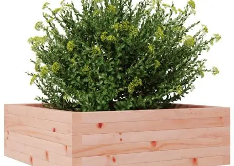 Jardinieră de grădină, 70x70x26,5 cm, lemn masiv Douglas - 4/5