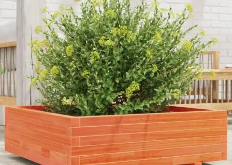 Jardinieră grădină, maro ceruit, 80x80x26,5 cm, lemn masiv pin - 1/5